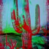 IMG_2503 Red Sunset Modern Cactus Artwork โ Limited Edition by Robert R ๐ผ๏ธ