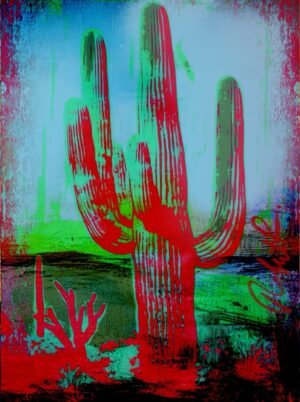 Red Sunset Modern Cactus Artwork — Limited Edition by Robert R 🖼️