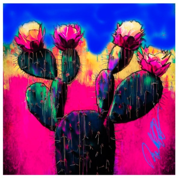 IMG_2633 Pink Pricky Love 2 β 36βx36 βArtwork by Robert R πΌοΈ